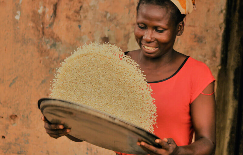CARI - Competitive African Rice Initiative